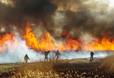 Vier Feuerwehrkräfte in Schutzkleidung stehen auf einem abgebrannten Feldabschnitt und bekämpfen ein großflächiges Bodenfeuer. Hohe Flammen und dichte, schwarze Rauchwolken steigen aus dem brennenden Gras auf. Im Vordergrund ist trockenes Gras zu sehen, im Hintergrund lodert das Feuer in einer breiten Front. Vier Feuerwehrkräfte in Schutzkleidung stehen auf einem abgebrannten Feldabschnitt und bekämpfen ein großflächiges Bodenfeuer. Hohe Flammen und dichte, schwarze Rauchwolken steigen aus dem brennenden Gras auf. Im Vordergrund ist trockenes Gras zu sehen, im Hintergrund lodert das Feuer in einer breiten Front.